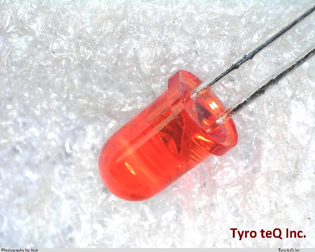 L-513LE1T