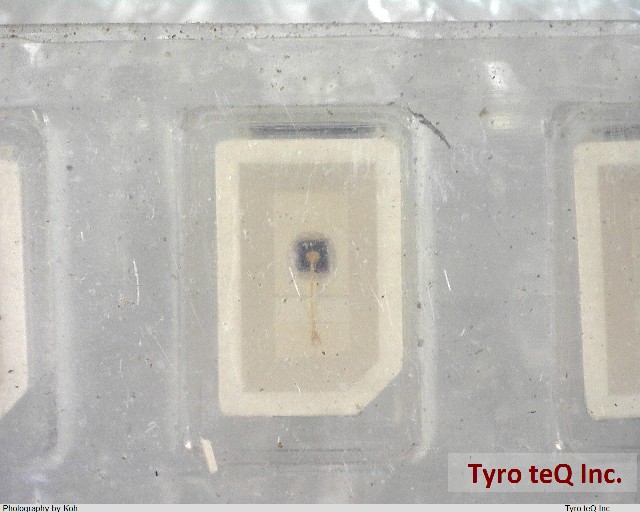 LN1251CUQ-(TR)