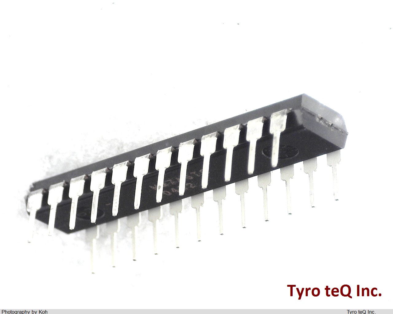 MAX7219CNG