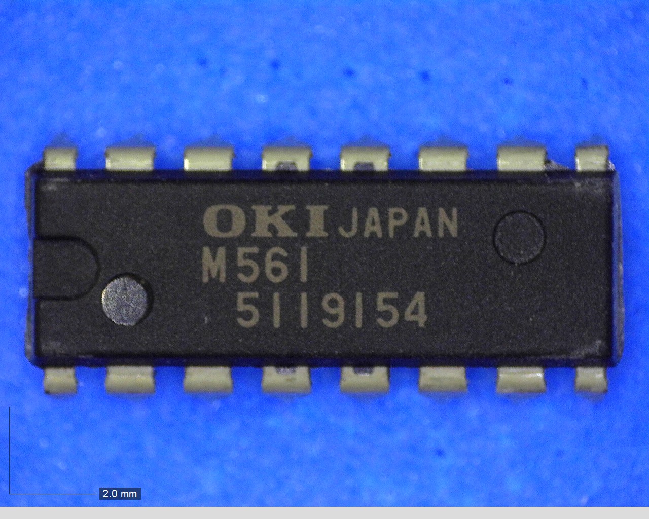 MSM561