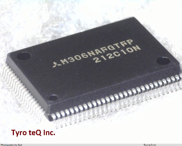M306NAFGTFP
