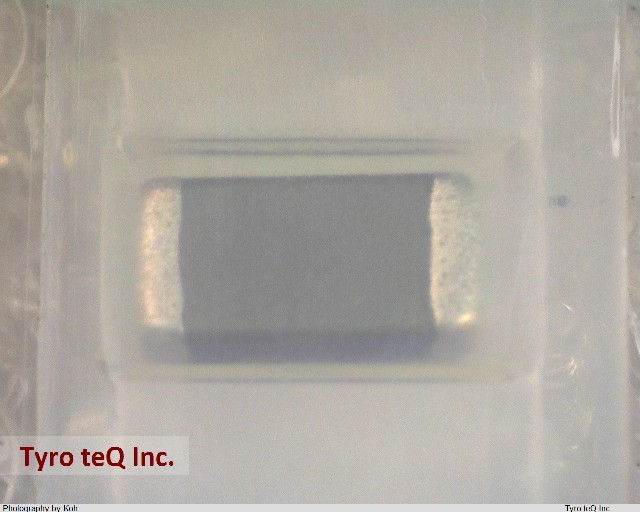 MLF3216DR56KT000