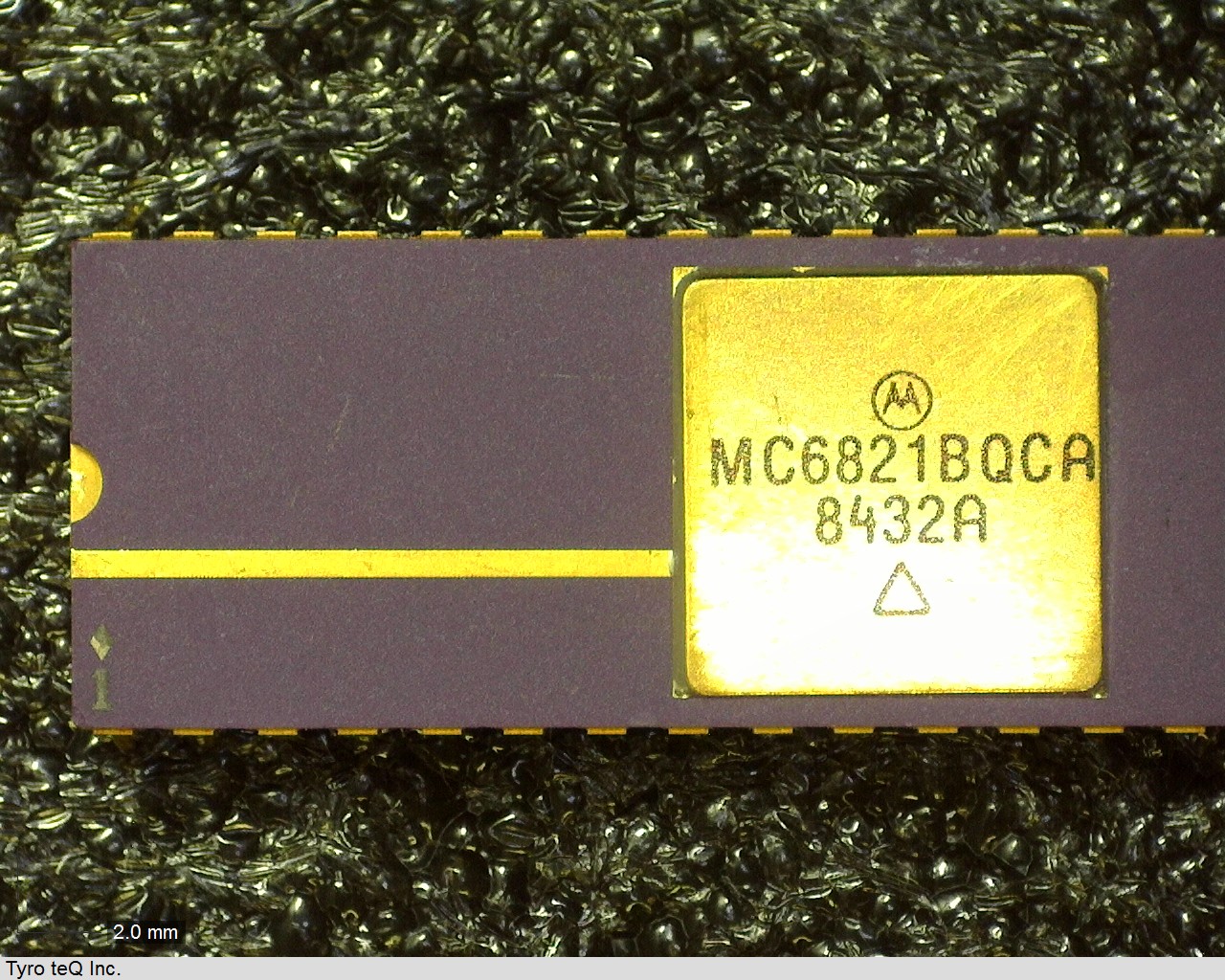 MC6821BQCA