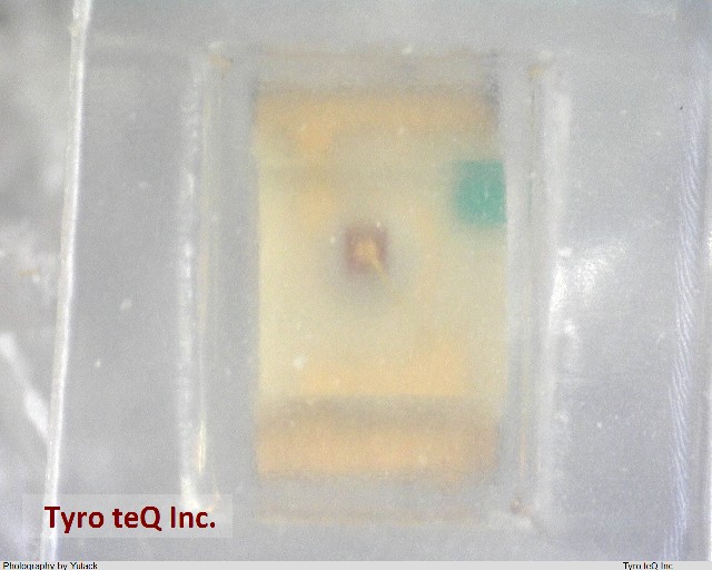 PG1112H-TR