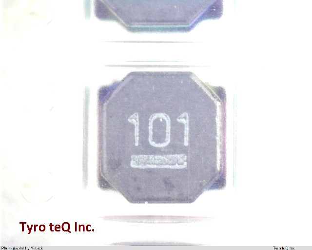 NR6045T101M