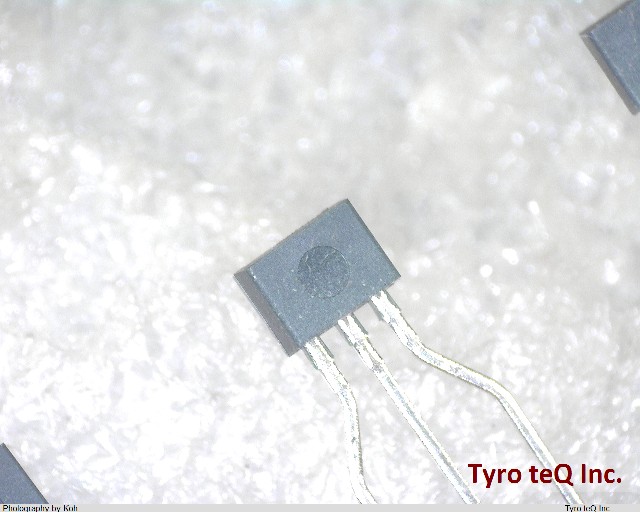 MA176WA-(TA)