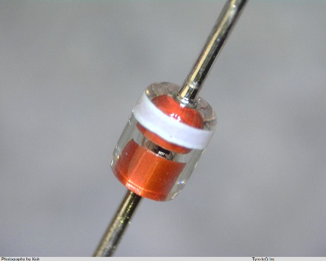 MA165-(TP)