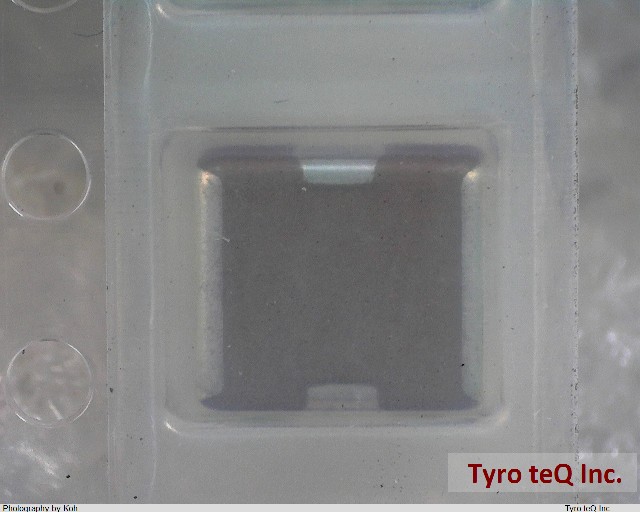 NFM55PC155F1H4L