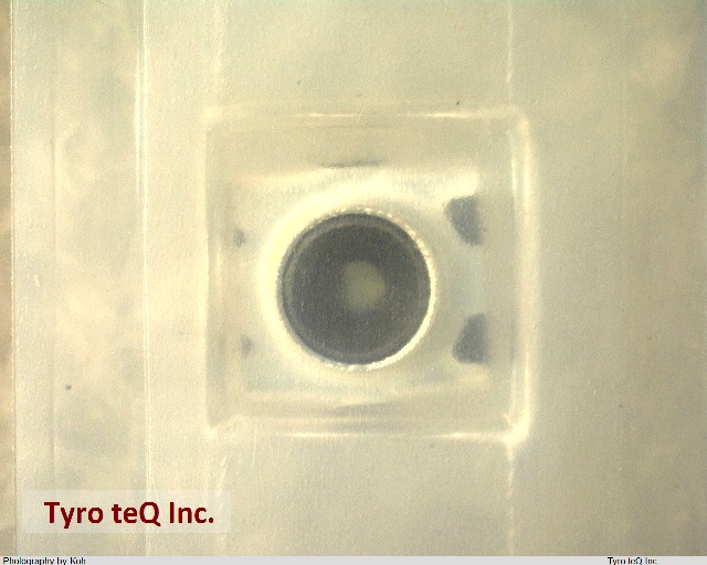 MM8430-2600RA1