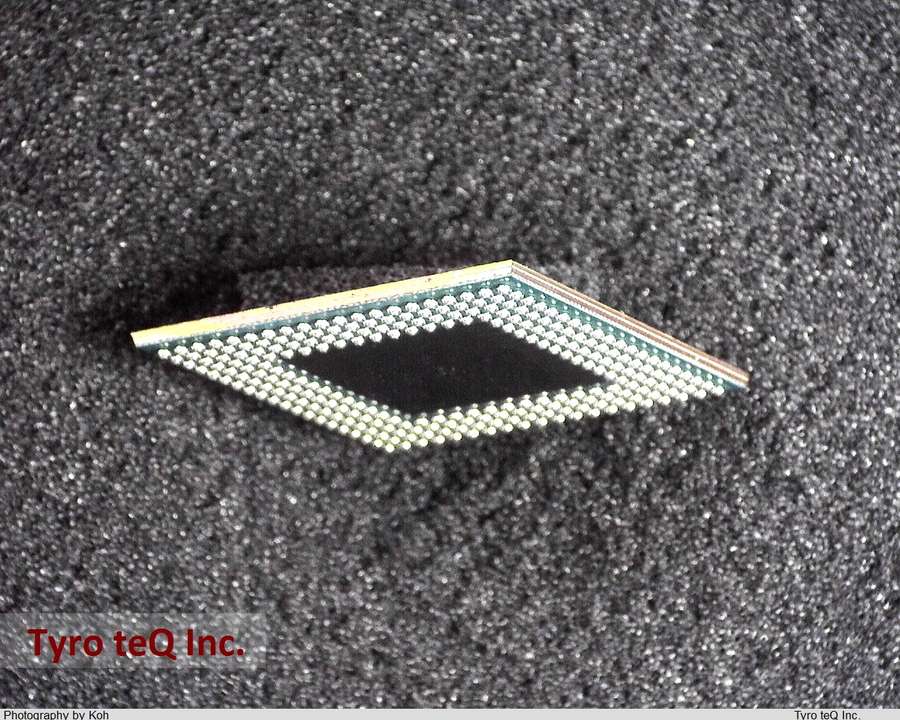 PM5342-BI