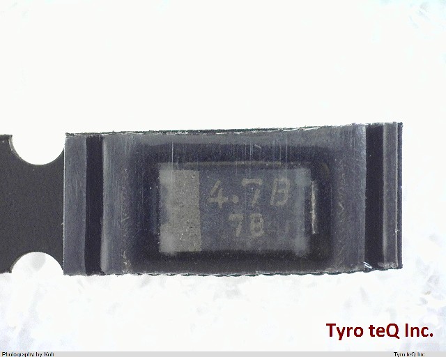 PTZTE254.7B