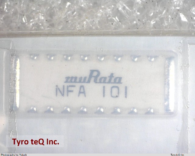 NFAC1CC101S1H8L