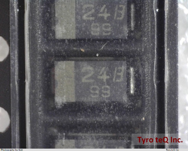PTZ TE25 24B