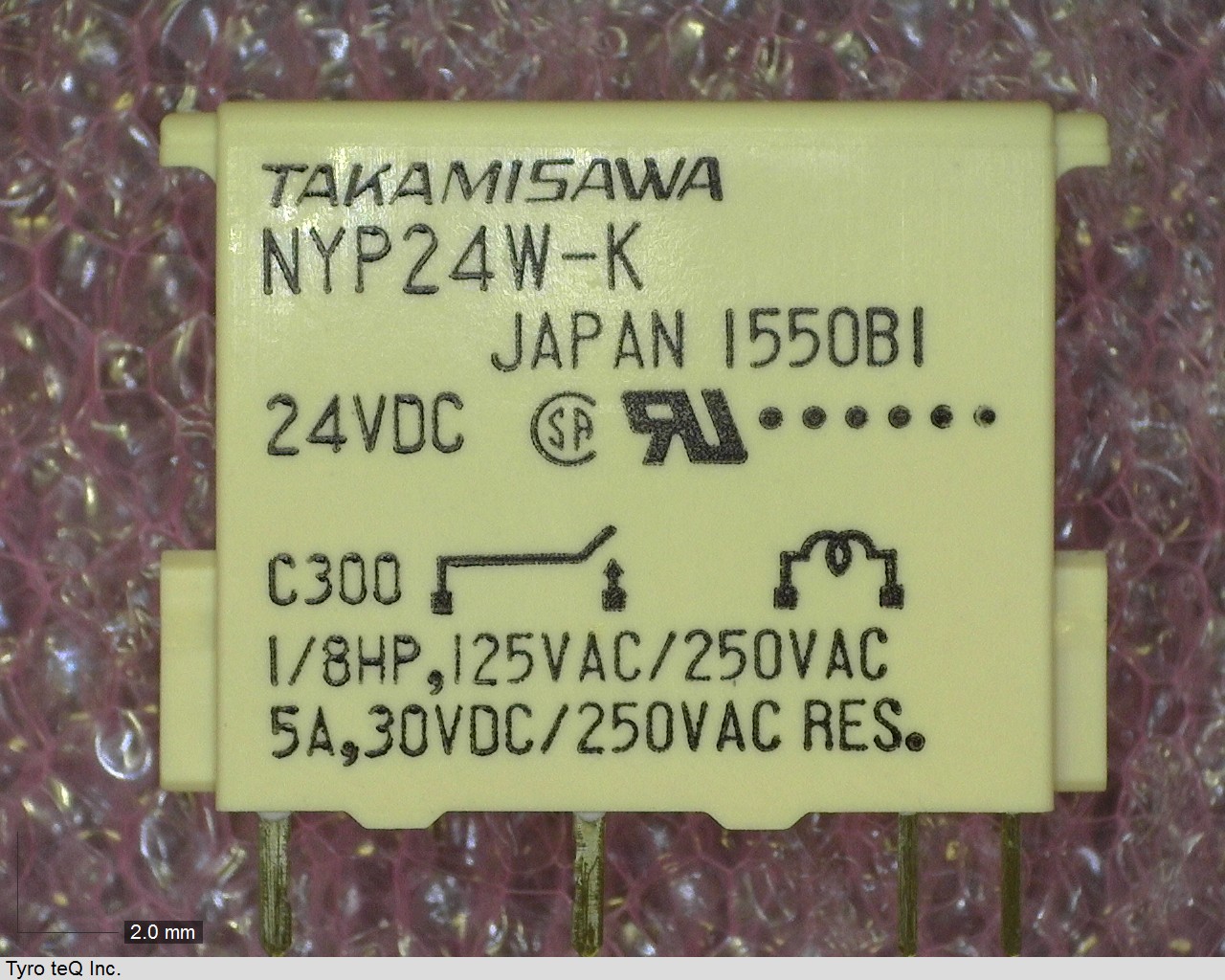 NYP24W-K DC24V