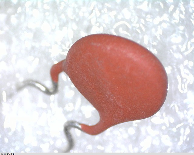 PTRL07BT102M2A51B0