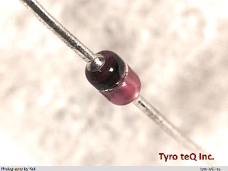 RD6.2FB2