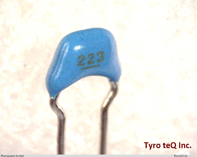 RPEF11H223Z2P1A01B