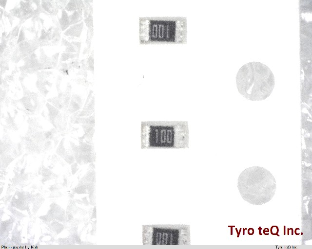 RK73B1JTTD100J