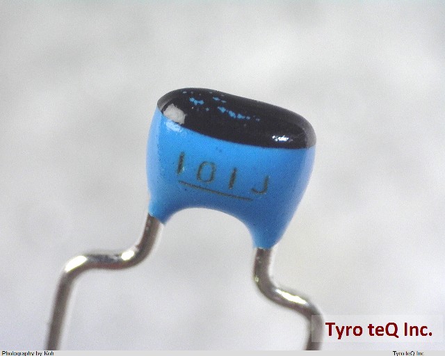 RPE2C1H101J2K1A01B