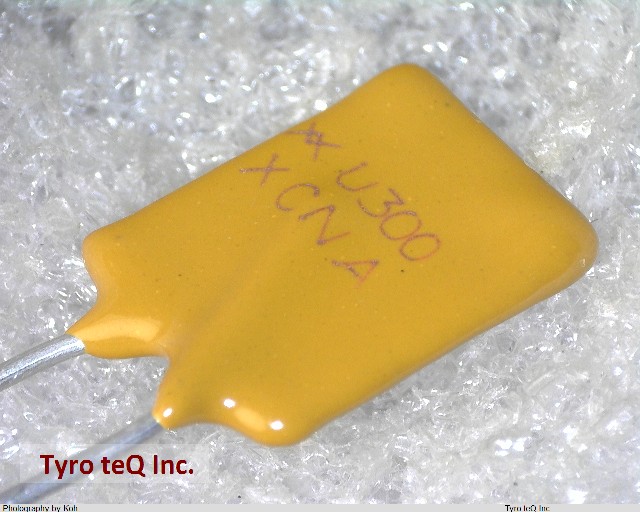 RUEF300