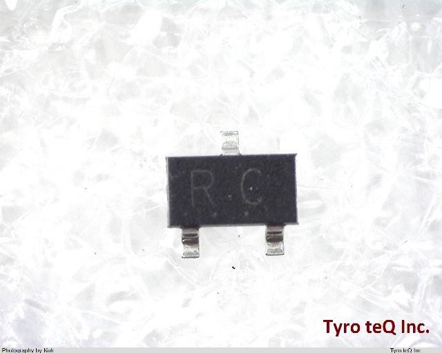 RN2423(TE85L,F)