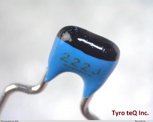 RPE2C1H222J2K1A01B