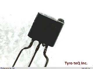 RN1005(TPE2,F)