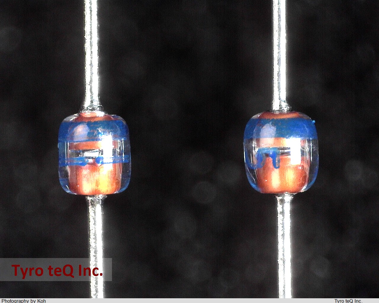 RD5.1JSAB1-T2
