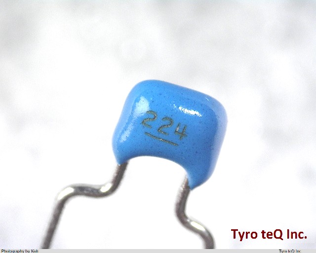 RPEF11H224Z2K1A01B