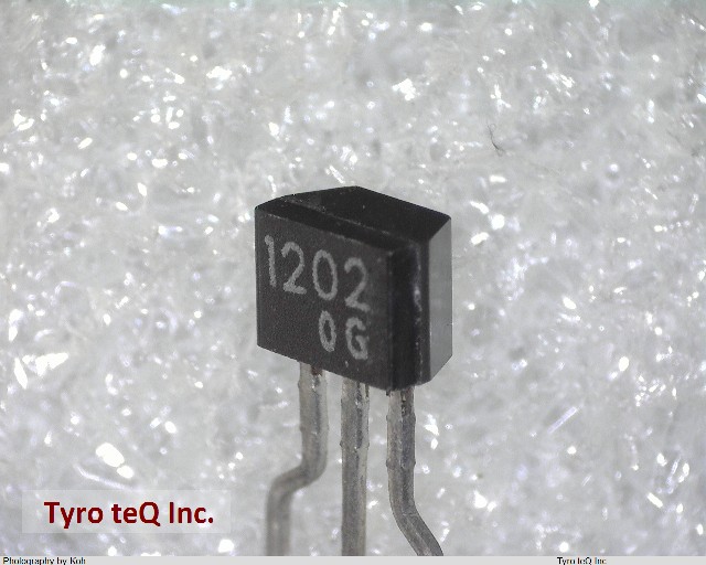 RN1202(TPE4,F)