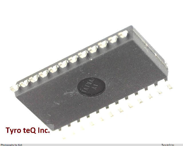 R8A66166SP
