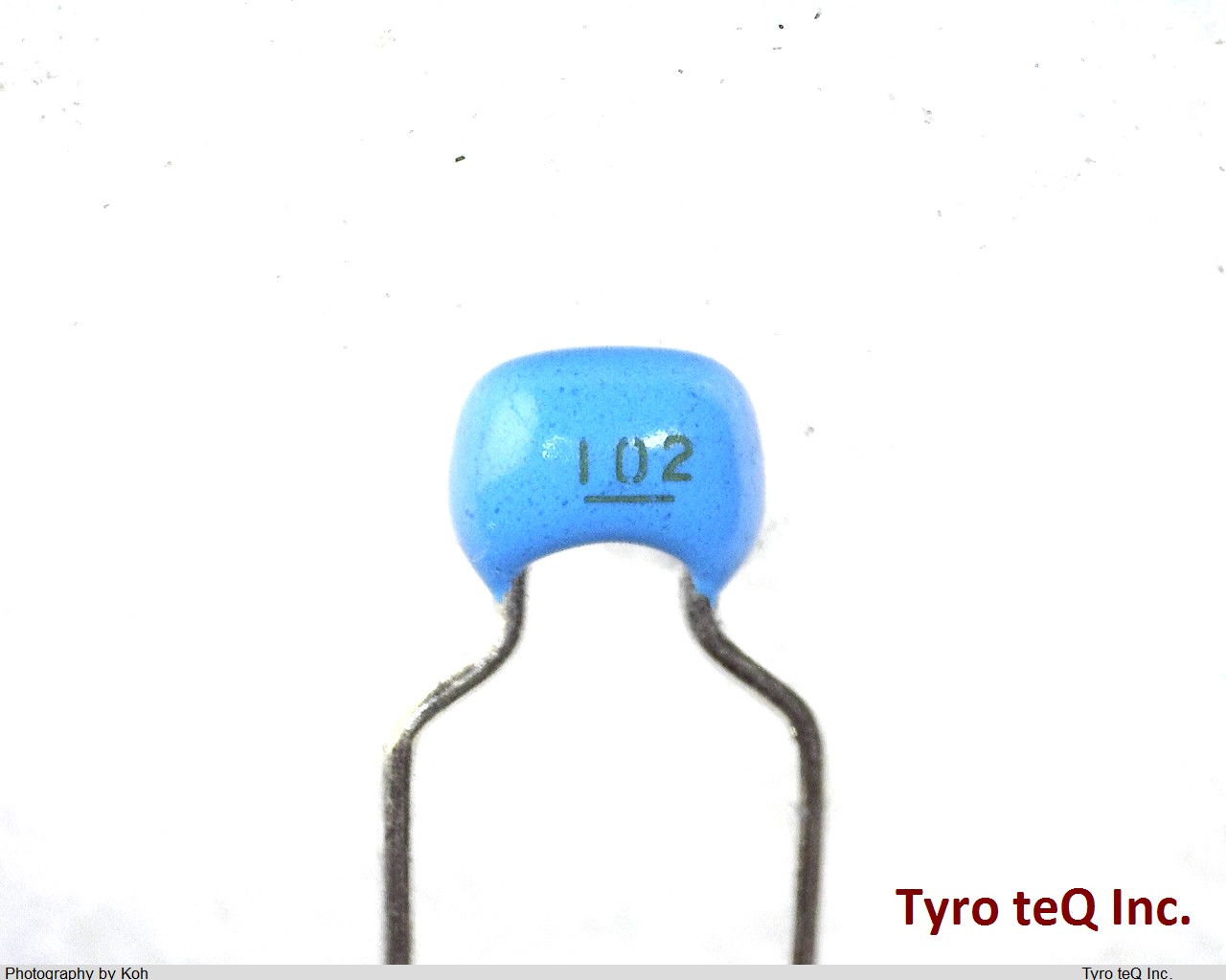 RPEF11H102Z2K1A01B