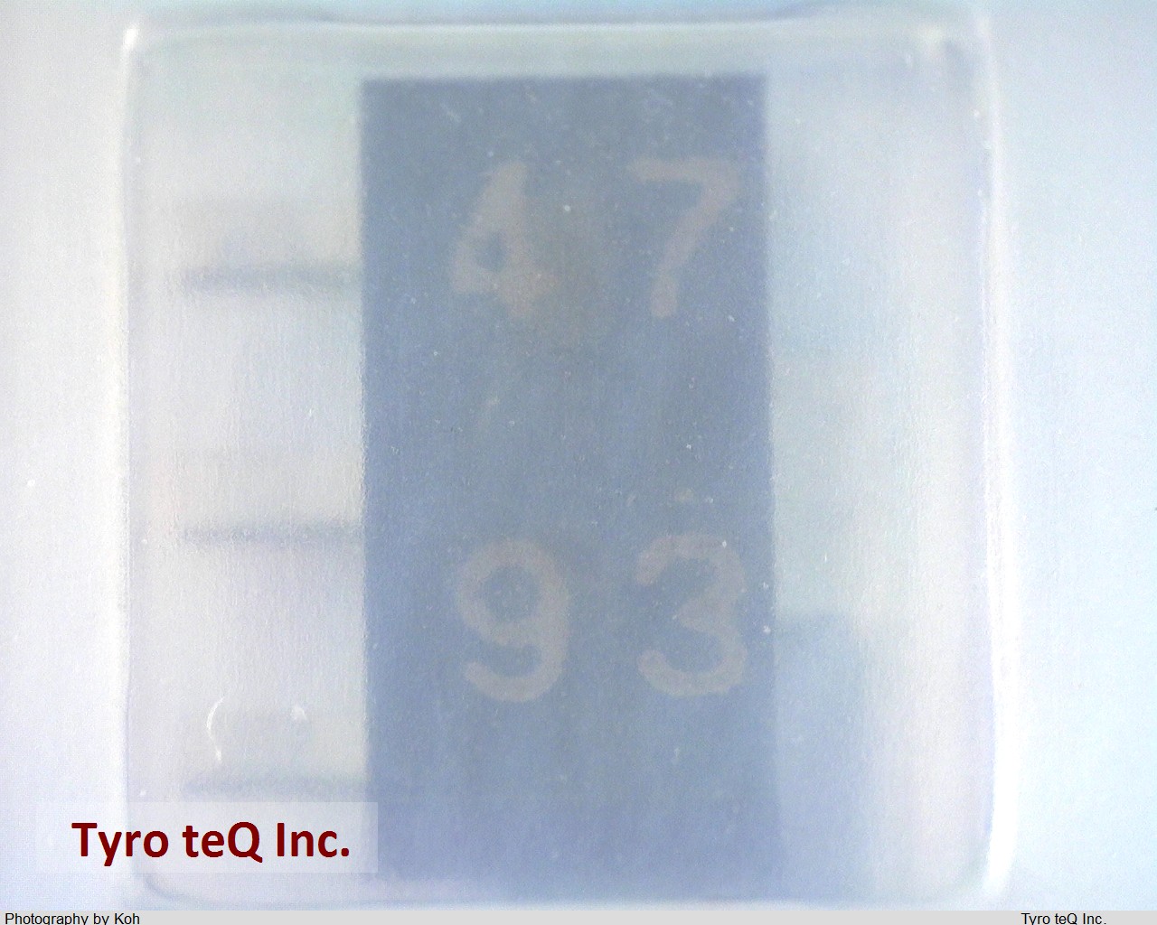 RD47P-T1(B)