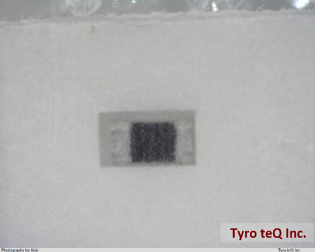 RK73B1ETTP100J