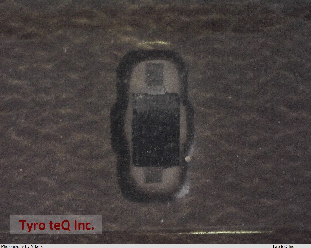 RD5.1UM-T1 B2