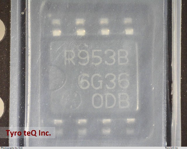 RNA51953BFP#HO