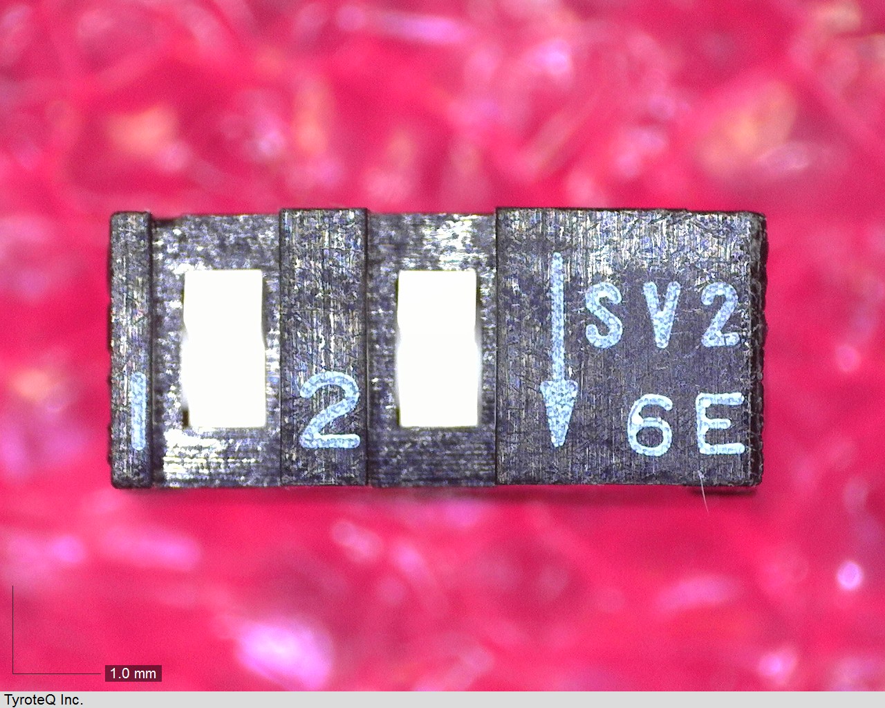 SSV02