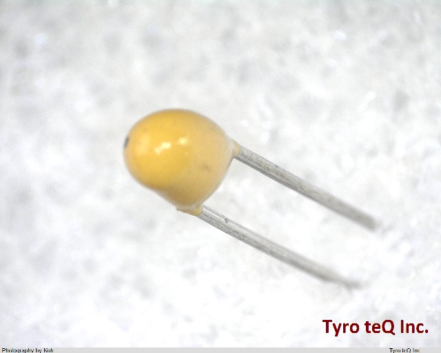 S891E105MA1