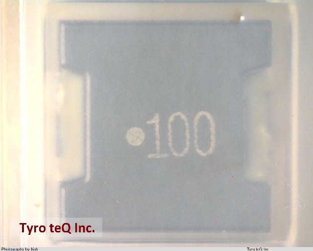 RLF12545T-100M5R1