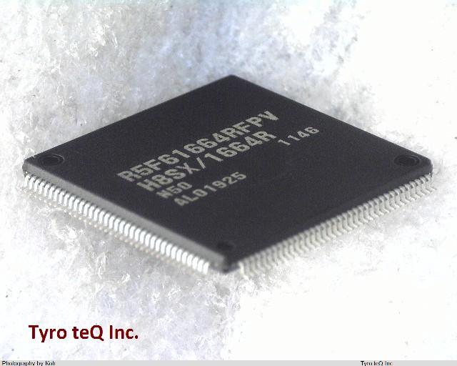 R5F61664RN50FPV