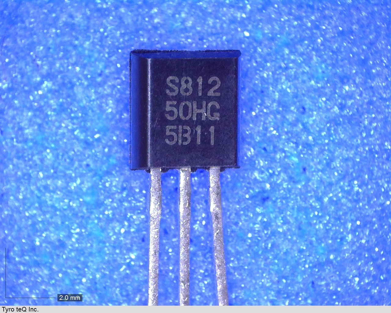 S-81250HG