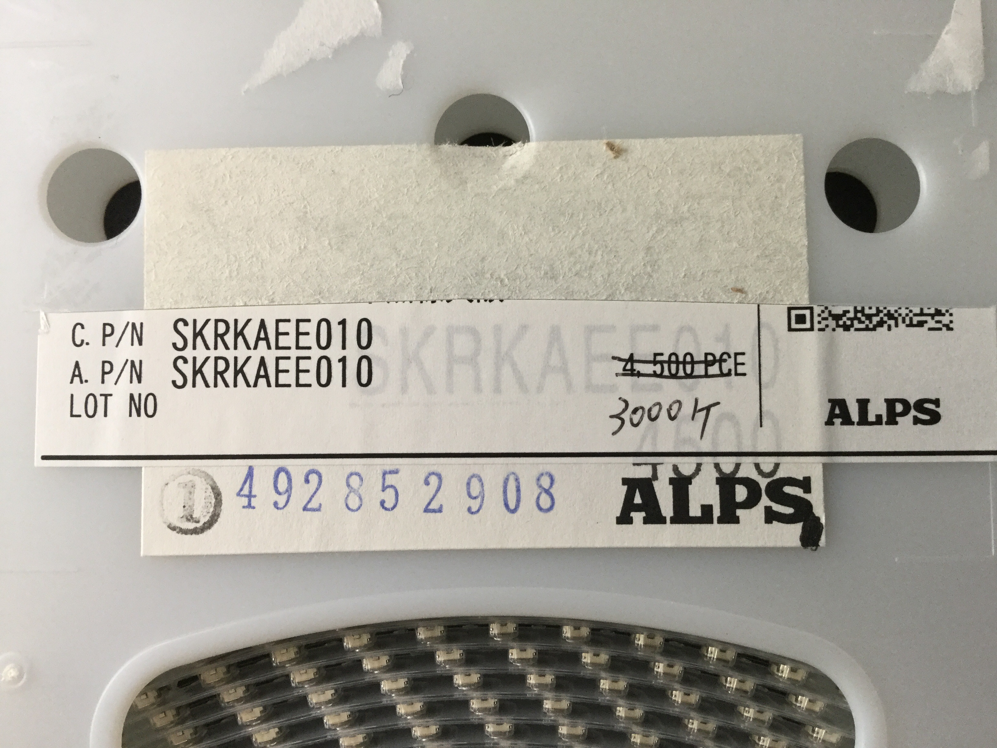 SKRKAEE010