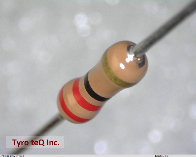 RD25J 22 OHM