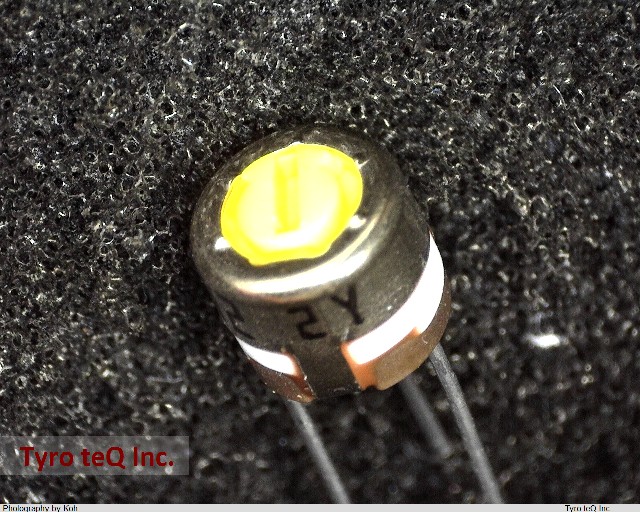 RJ-4EW202