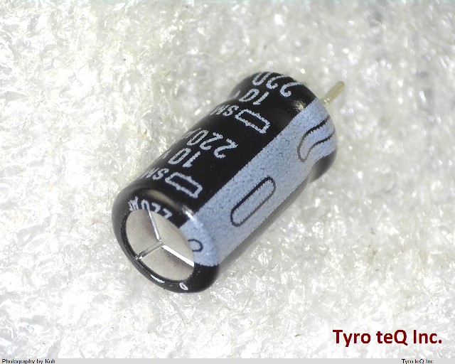 SME10VB220M