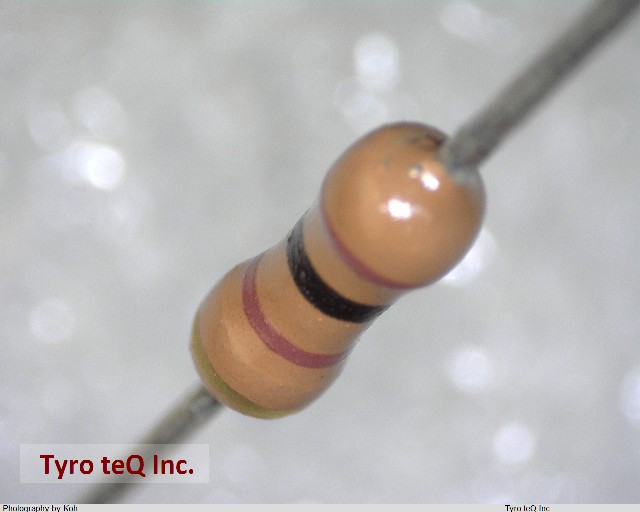RD25J 100 OHM