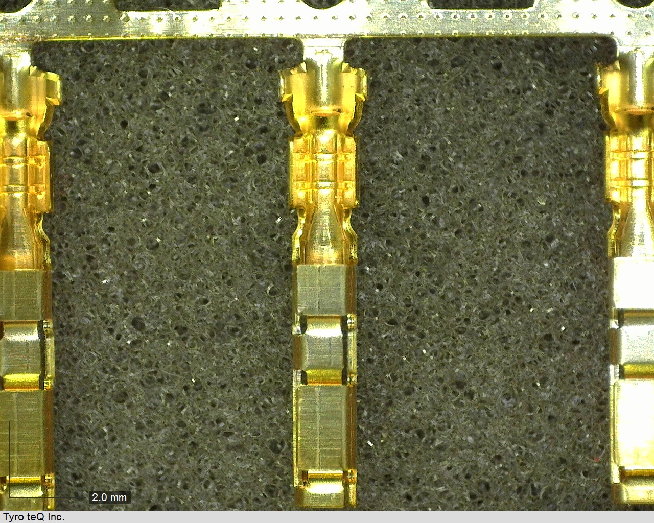 SJ2F-01GF-P1.0