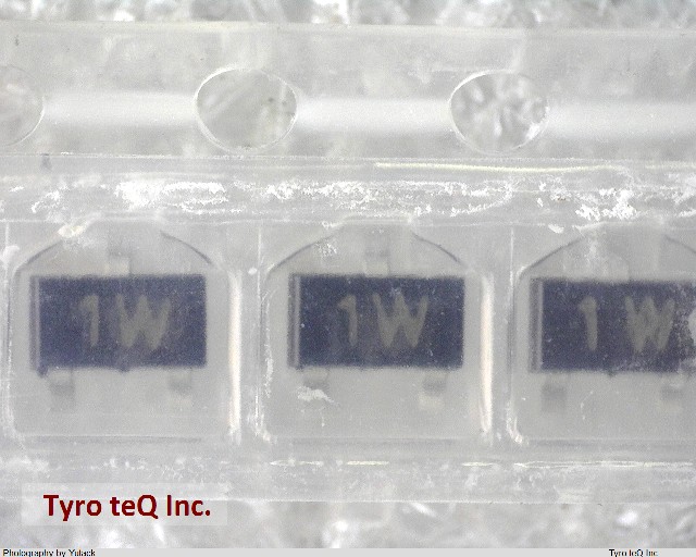 RT1C3904-T112-1W