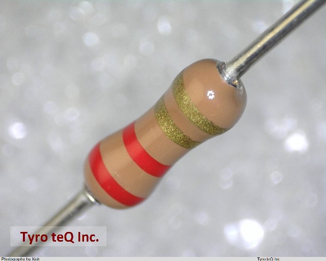 RD25J 22 OHM