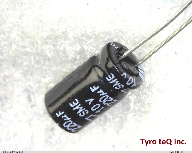 SME10VB220M